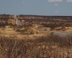 Rio Grande do Norte, 2016